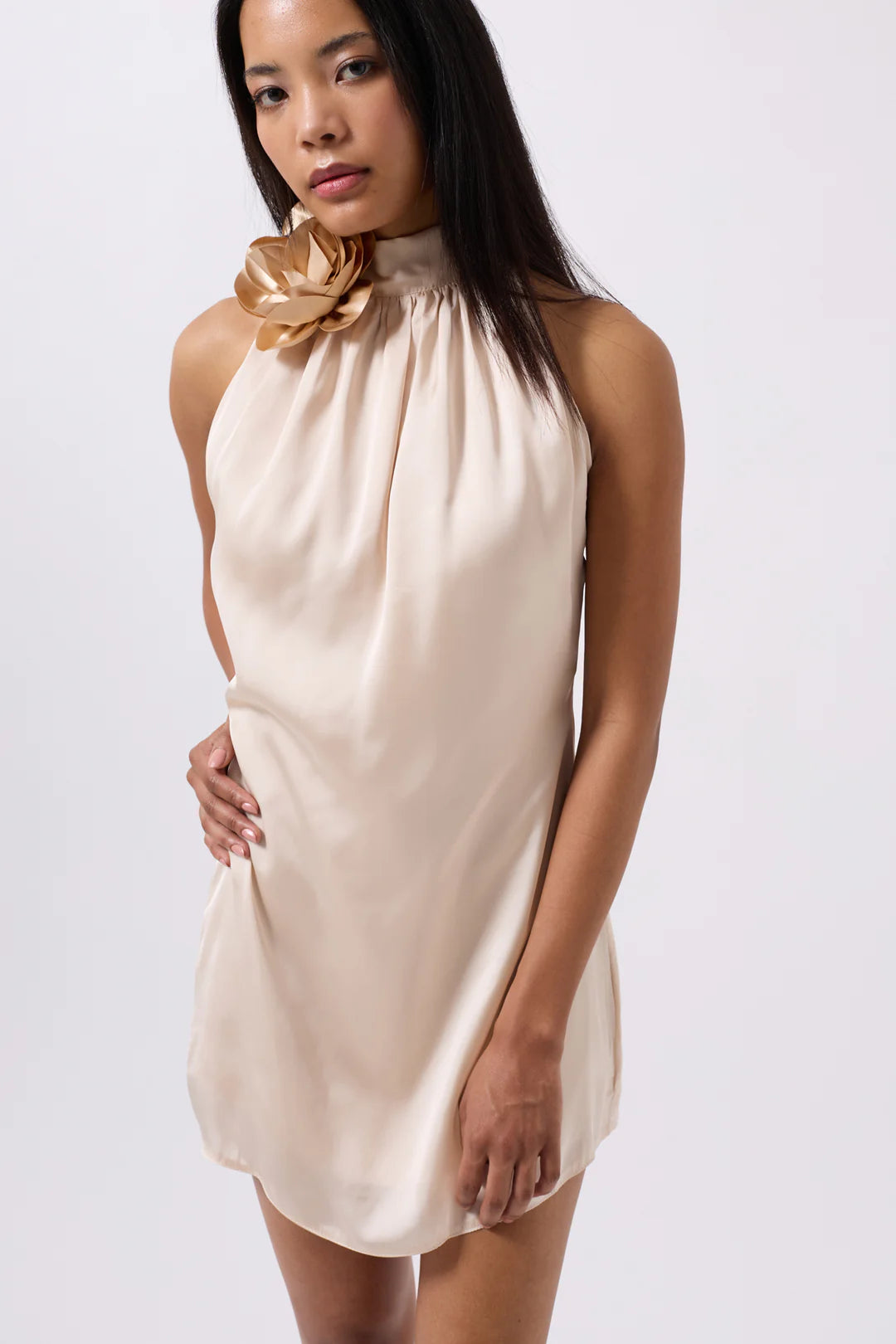 Rosella Kleid Champagner