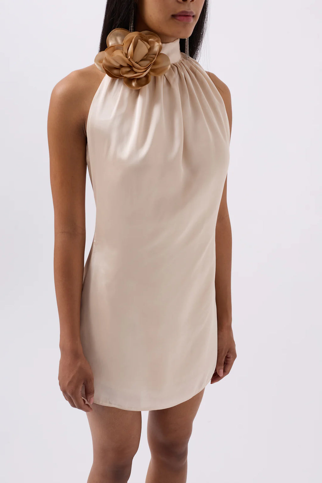 Rosella Kleid Champagner