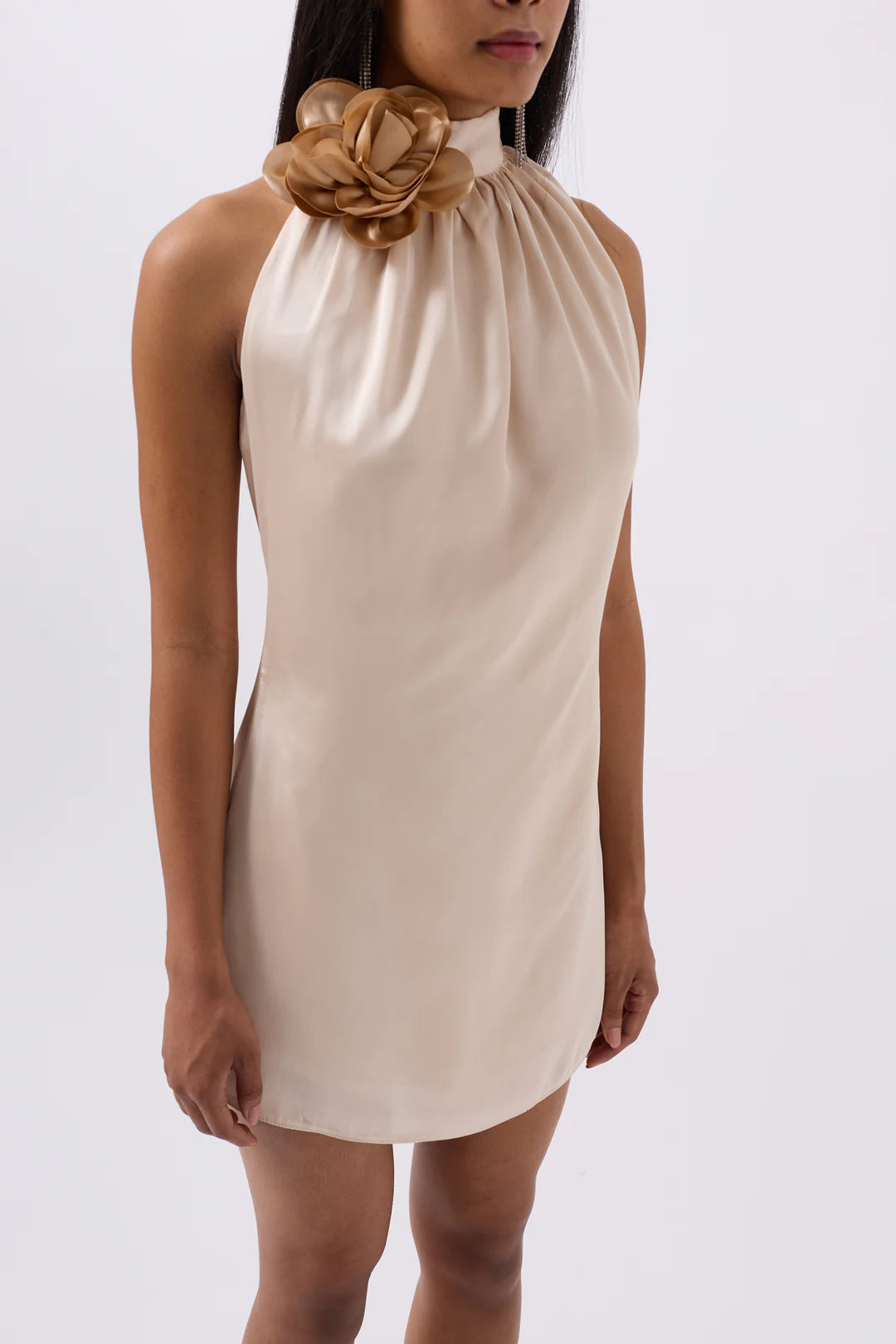 Rosella Kleid Champagner